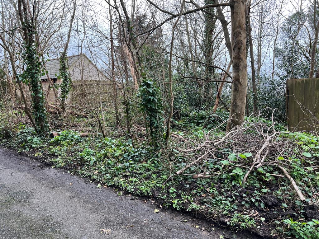 Lot: 100 - FREEHOLD LAND WITH POTENTIAL - Land with mature trees and overgrowth